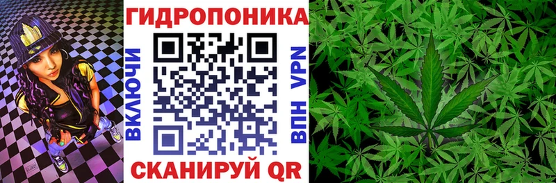 Марихуана семена  что такое наркотик  blacksprut рабочий сайт  darknet клад  Нижнеудинск 